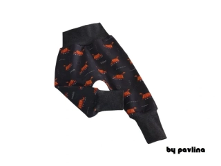 Chlapecké tepláčky / turky - Popeláři